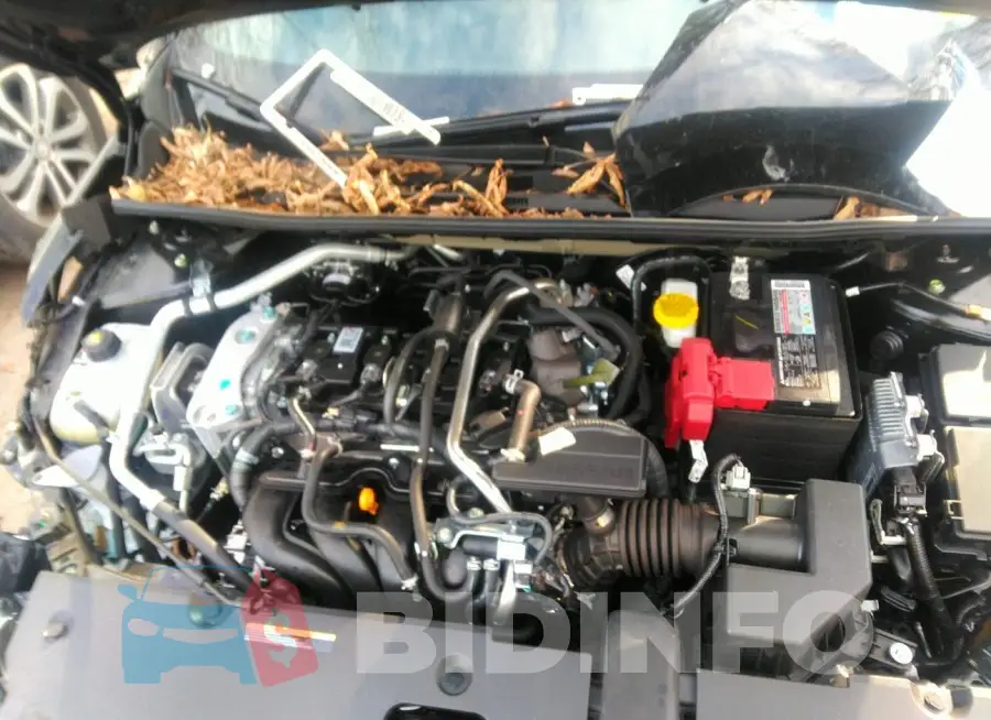 3N1AB8BV6NY281131 Photo# 10