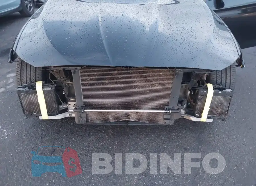WBA5B1C56ED477185 Photo# 6
