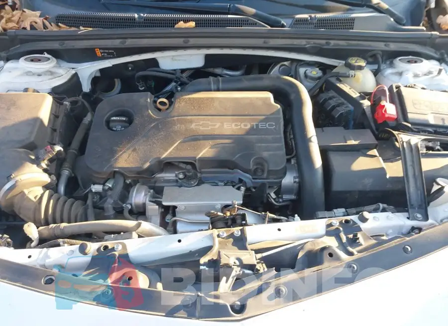 1G1ZB5ST4HF177125 Photo# 10