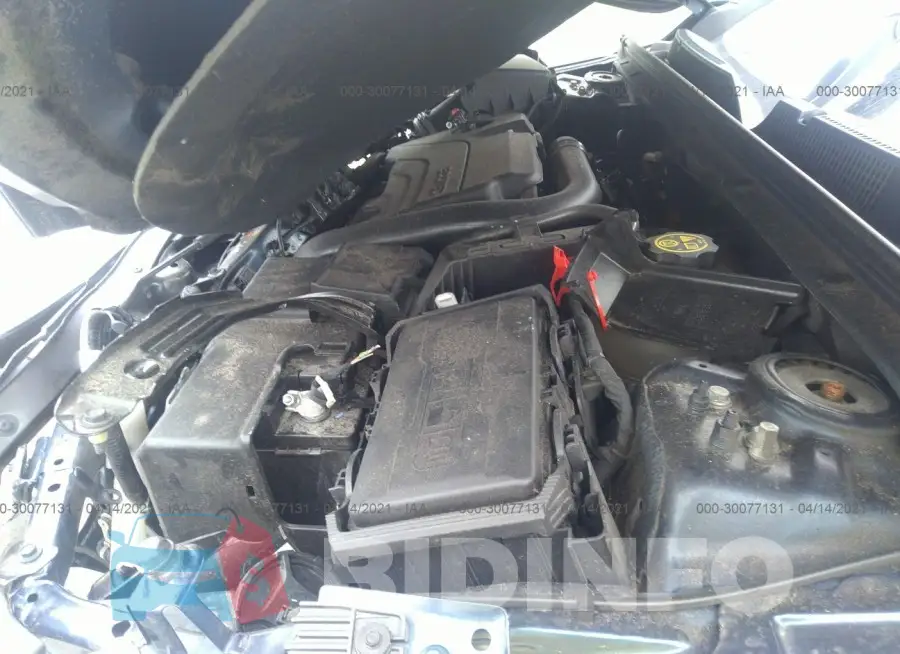 1G1ZD5ST3KF117192 Photo# 10