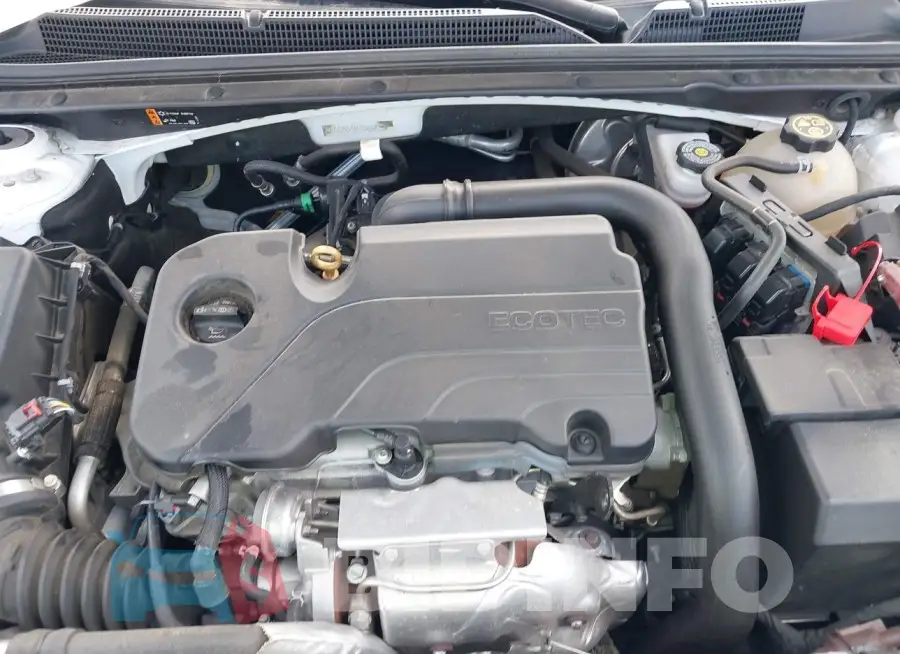 1G1ZD5ST5LF065825 Photo# 10