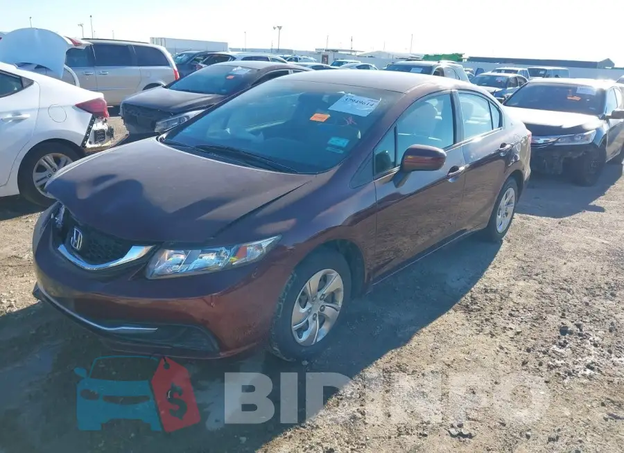 19XFB2F59FE221308 Photo# 2