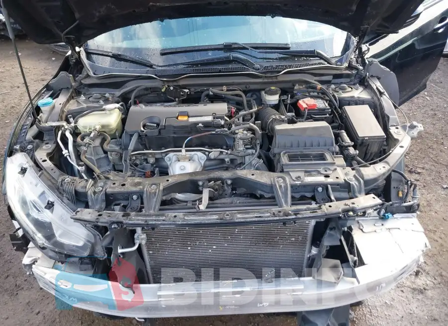 19XFC2F57GE018674 Photo# 10