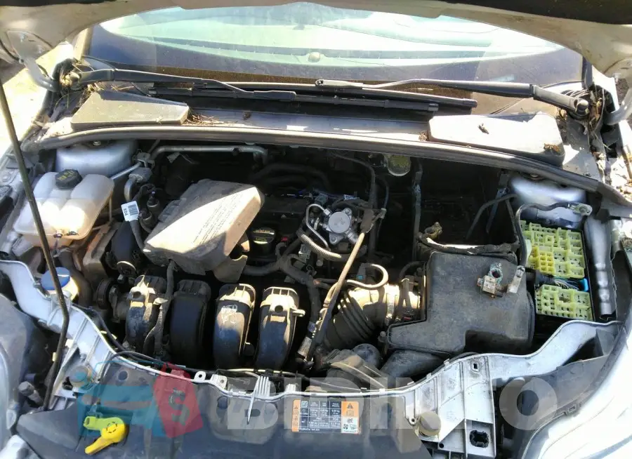 1FADP3F2XEL287883 Photo# 10