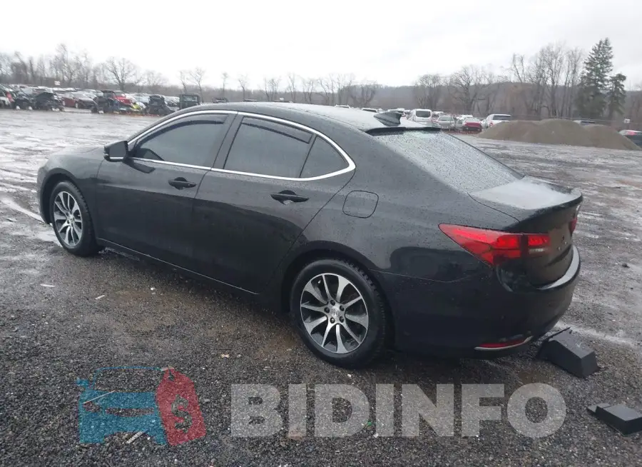 19UUB1F39FA016222 Photo# 3