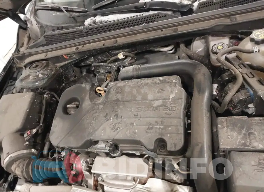 1G1ZD5ST2MF018625 Photo# 10