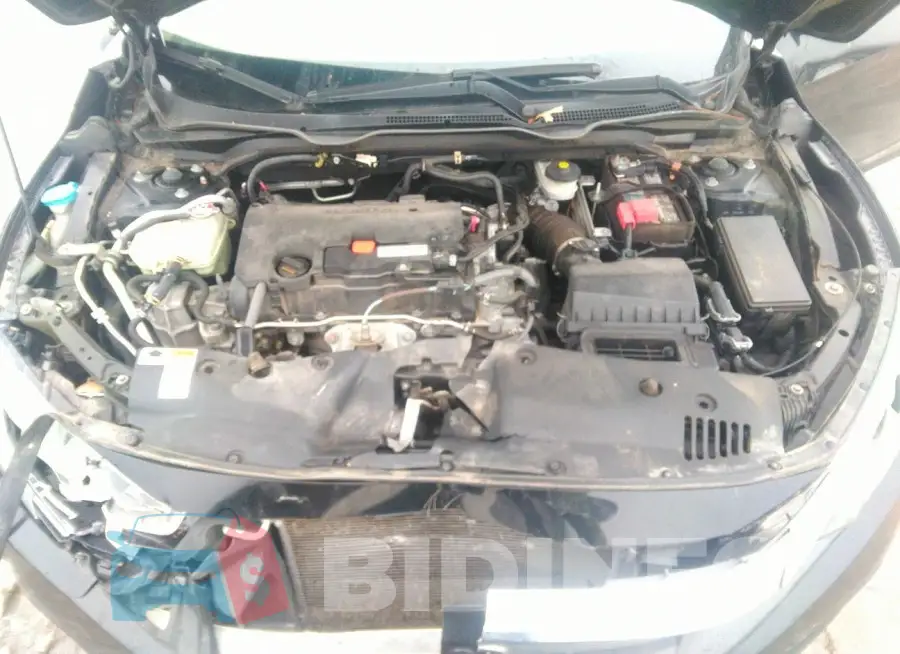19XFC2F55HE046524 Photo# 10