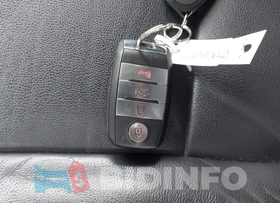 KNDPN3ACXH7271385 Photo# 11
