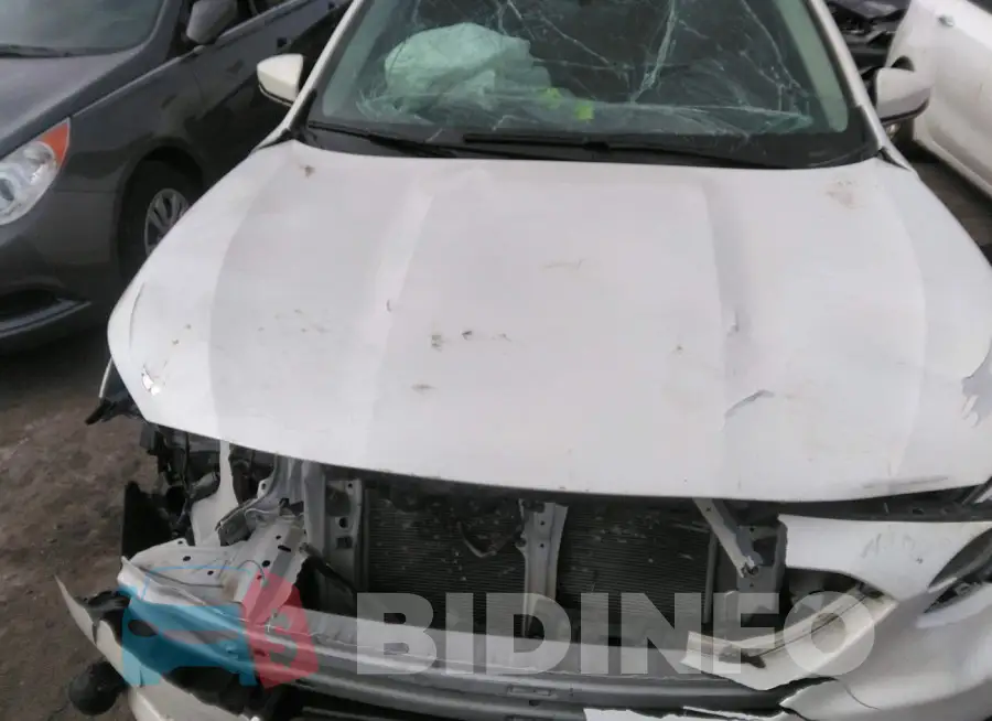 4S3BWAN65L3020791 Photo# 12