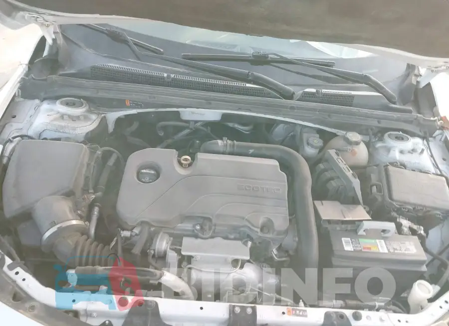 1G1ZB5ST2HF187765 Photo# 10