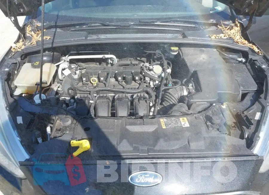 1FADP3E26GL402046 Photo# 10
