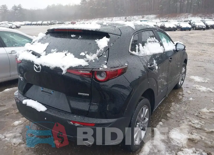 3MVDMBBL7MM222335 Photo# 4