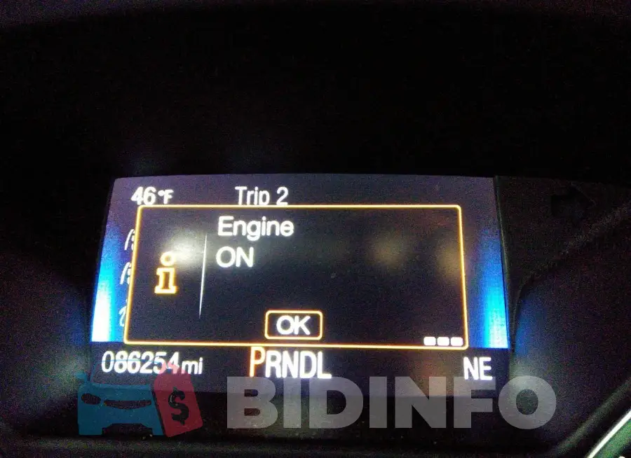 1FADP3F2XFL202929 Photo# 15