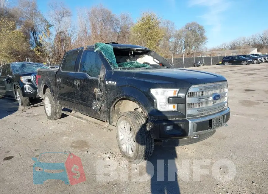 1FTEW1EG3FFB13043 Photo# 1