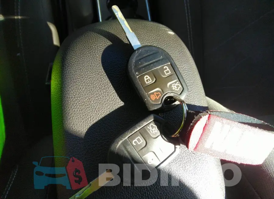 3FADP4BJ7HM146016 Photo# 11