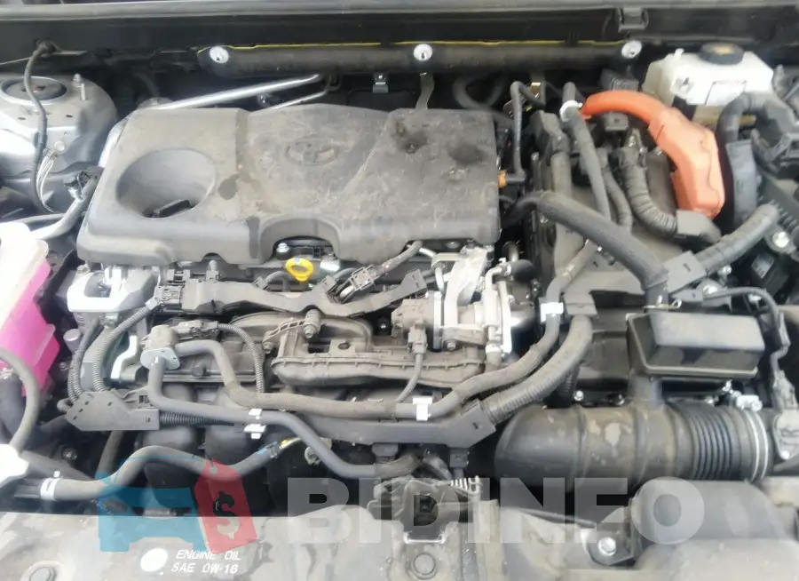 JTMDWRFV1KD519884 Photo# 10