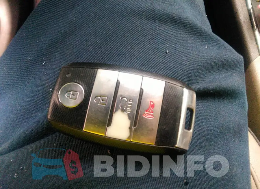 KNDPN3AC2J7412911 Photo# 11