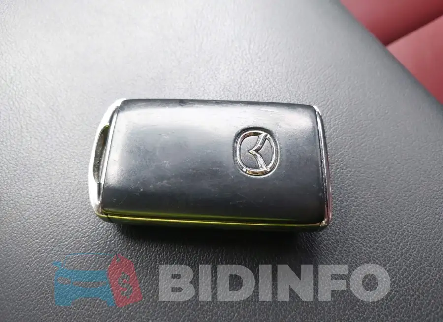 JM1BPALL2N1513607 Photo# 11