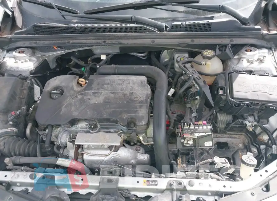 1G1ZD5ST2KF106605 Photo# 10