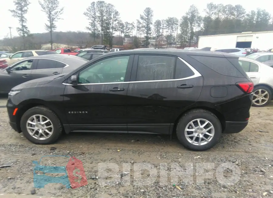 3GNAXUEG4RL160256 Photo# 14
