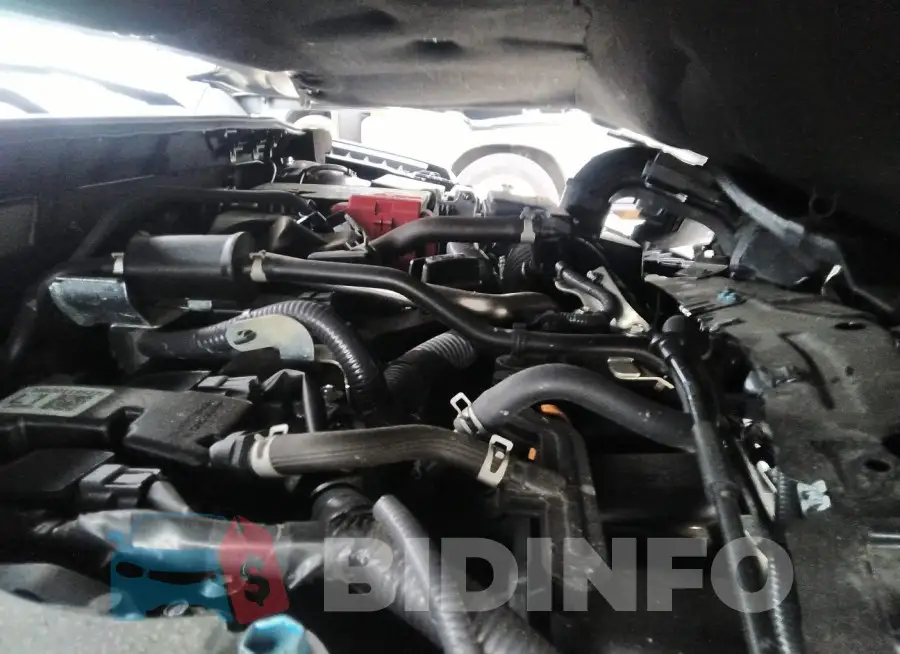 3N1AB8CV7LY232807 Photo# 10