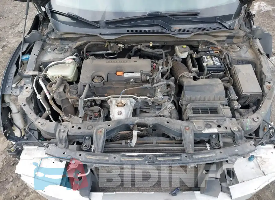 19XFC2F78GE240173 Photo# 10