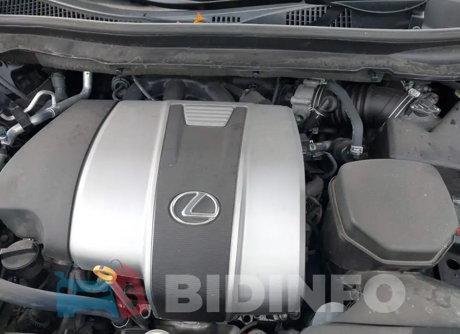 2T2HZMDA6LC254210 Photo# 10