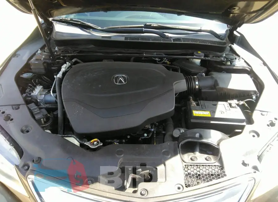 19UUB3F51FA004062 Photo# 10