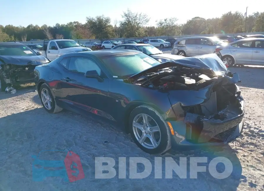 1G1FB1RSXP0143717 Photo# 1