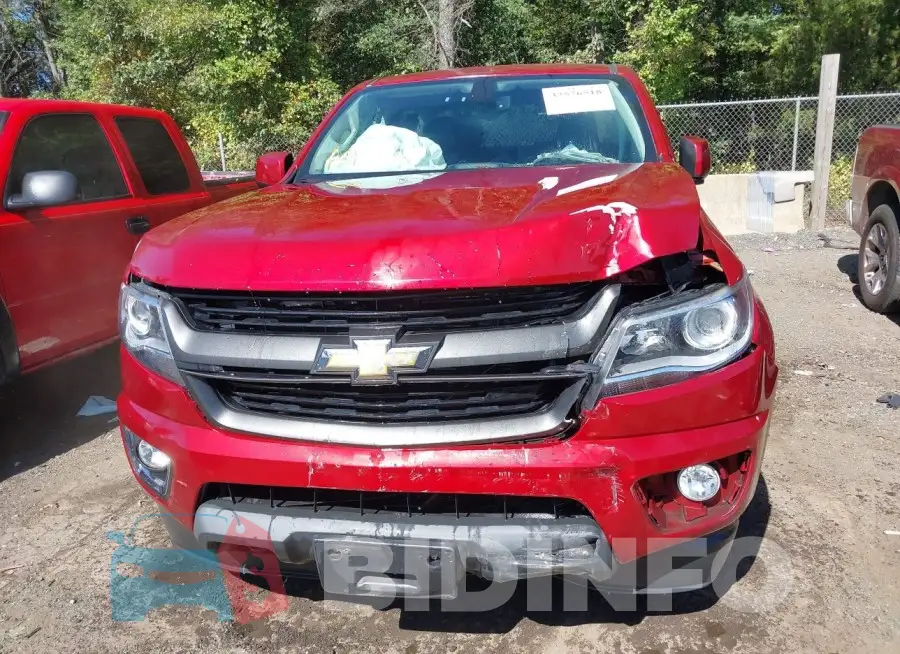 1GCGTCE31F1181834 Photo# 12