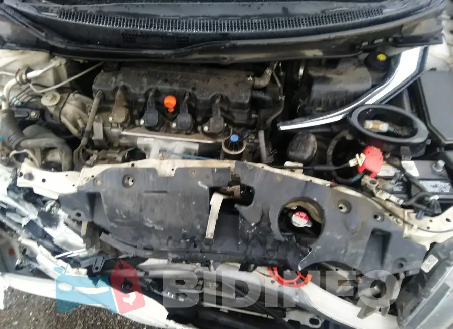 19XFB2F94FE257619 Photo# 10