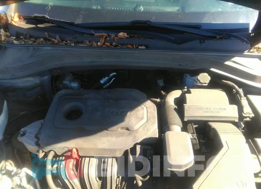 5NMS2CAD2KH035681 Photo# 10