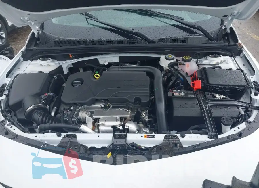 1G1ZD5ST5RF132125 Photo# 10
