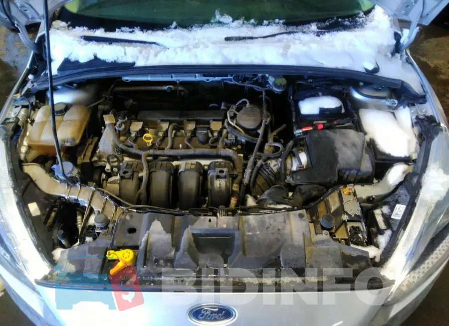 1FADP3F2XGL306175 Photo# 10