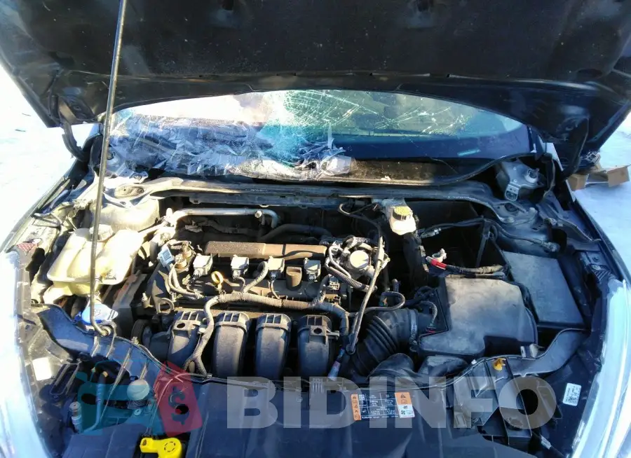 1FADP3F24HL223617 Photo# 10