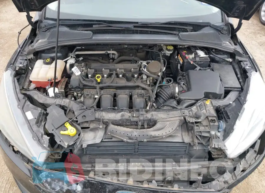 1FADP3F20FL274805 Photo# 10