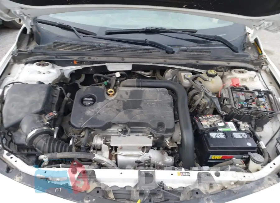 1G1ZD5ST5KF169388 Photo# 10