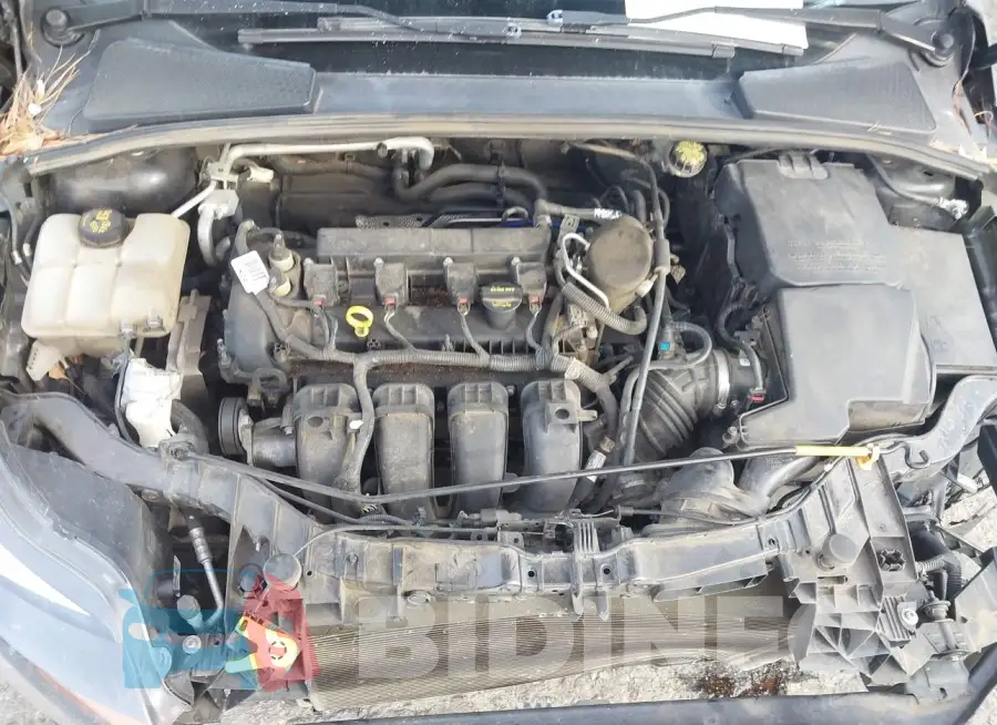 1FADP3N21EL319945 Photo# 10