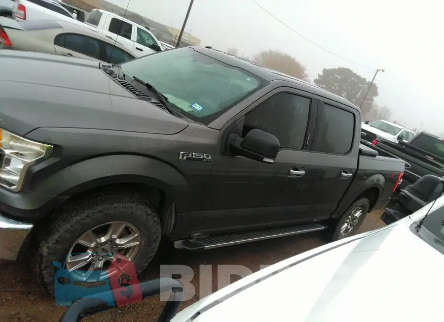1FTEW1EF3GKE93372 Photo# 14