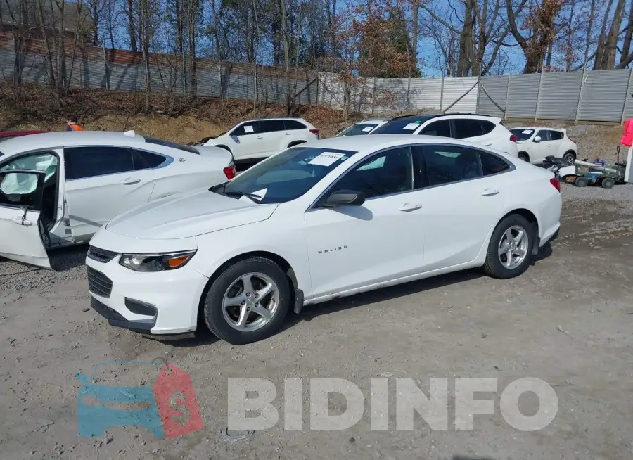 1G1ZB5ST5HF131268 Photo# 2
