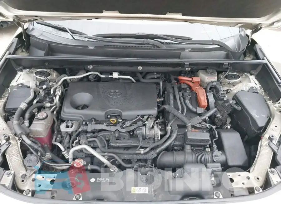 JTMCB3FV6MD004211 Photo# 10