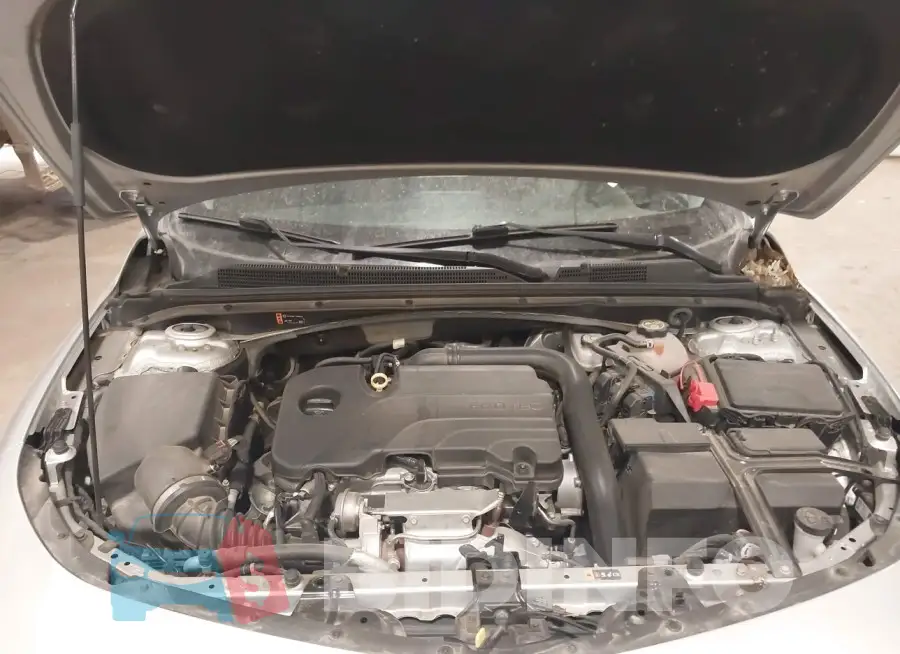 1G1ZD5STXLF156718 Photo# 10