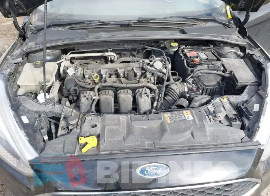 1FADP3E29GL358902 Photo# 10