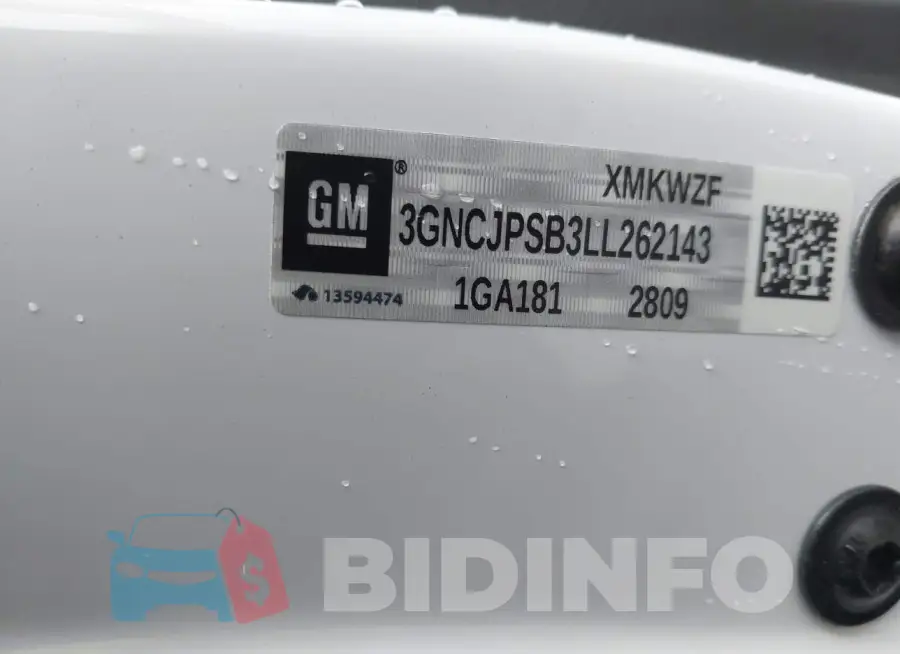 3GNCJPSB3LL262143 Photo# 9