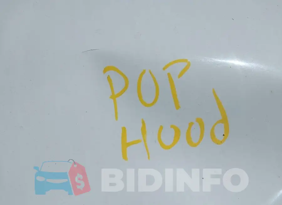19XFB2F86FE251232 Photo# 10