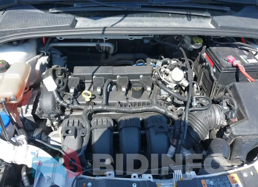 1FADP3E23GL362220 Photo# 10