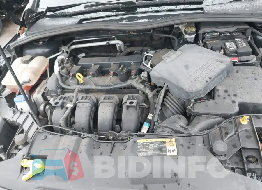 1FADP3F25EL221113 Photo# 10