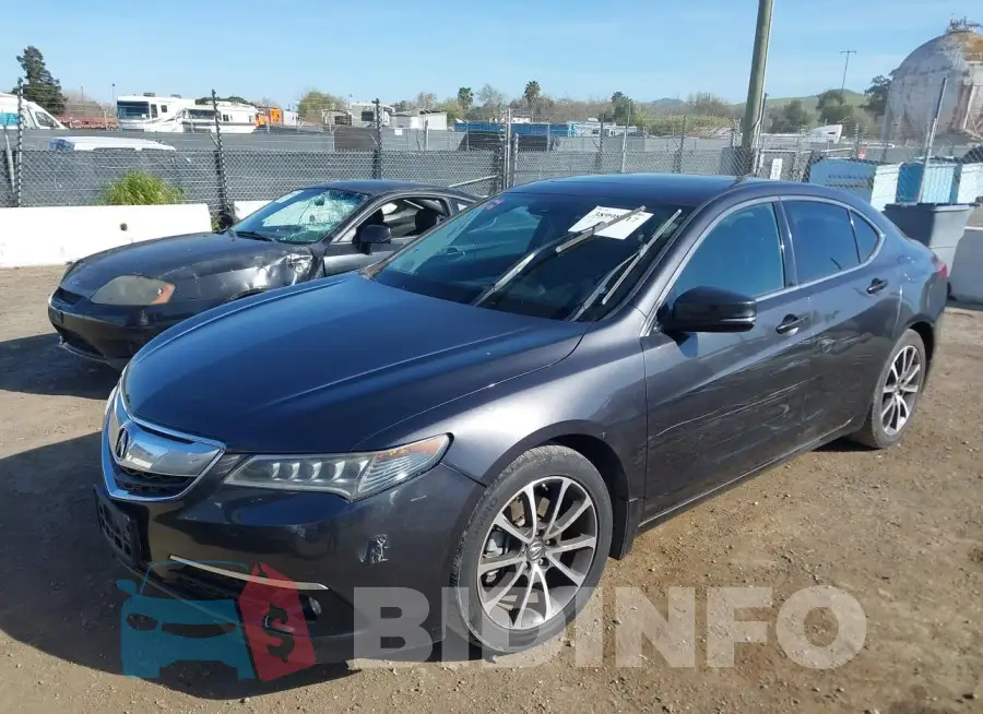 19UUB2F50FA004046 Photo# 2