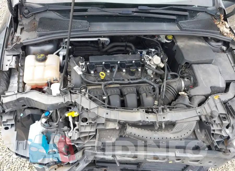 1FADP3F2XGL398100 Photo# 10