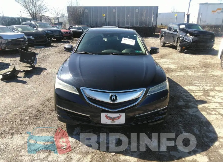 19UUB2F53FA011668 Photo# 13